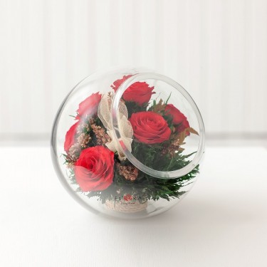 FIORA Арт:51067(RVSL-R) цветы в стекле